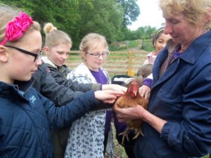 Shirley Manors visit to organic farm Swillington_web